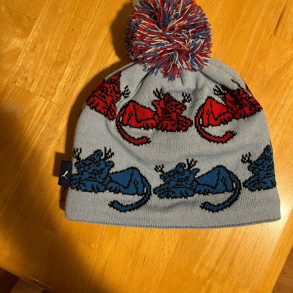 NWT- Noah and Puma Collab Winter Beanie